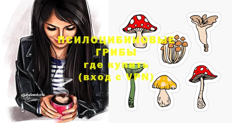 Псилоцибиновые грибы Magic Shrooms  ссылка на мегу ссылки  Болотное  сколько стоит 